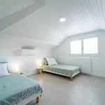 Maison Renovee A Pour 10 Pers. Avec Jardin Proche Ocean - Fr-1-50-194 Mimizan